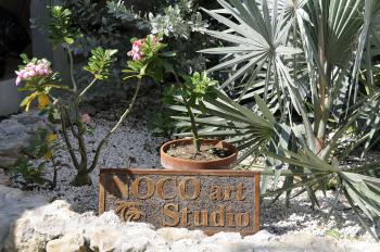 Norma Trimborn St.Martin Studio