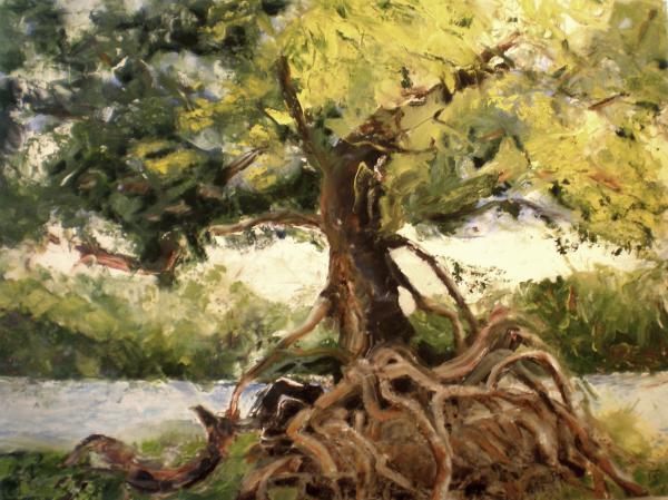 Tree at Mullet Bay #2 - 48x36, Norma Trimborn
