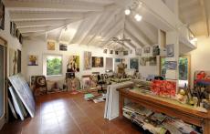 Norma Trimborn St.Martin Studio