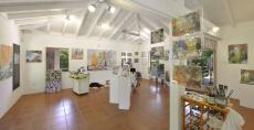 Norma Trimborn St.Martin Studio