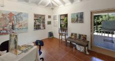 Norma Trimborn St.Martin Studio