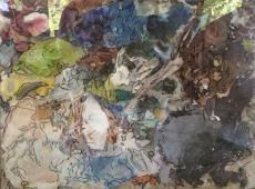 Palette Tracing - 29, Norma Trimborn